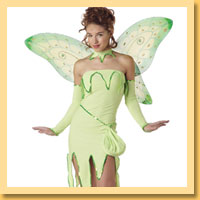 Fairy Costumes