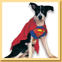 Superhero Pet Costumes